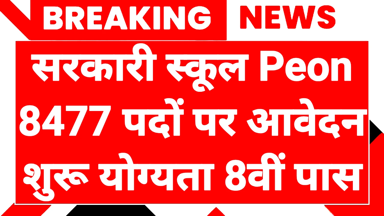 Government School Peon