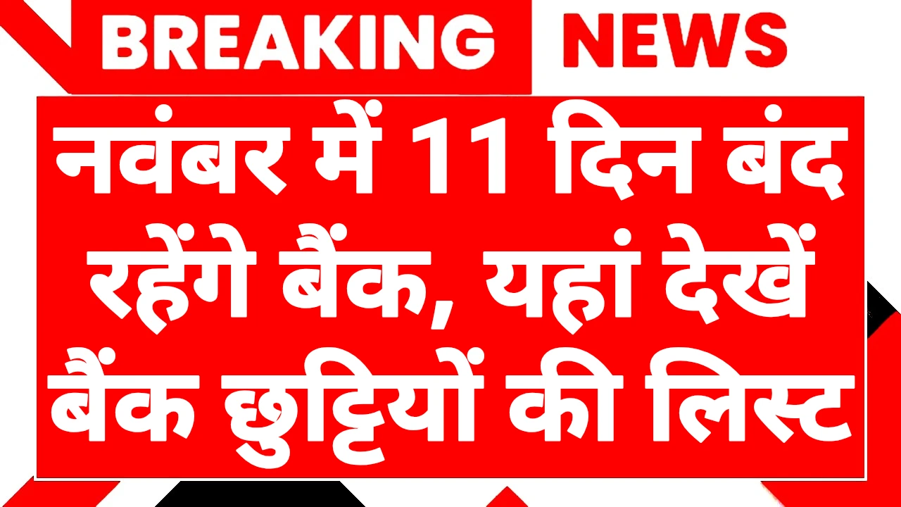 Bank Holiday November 2025